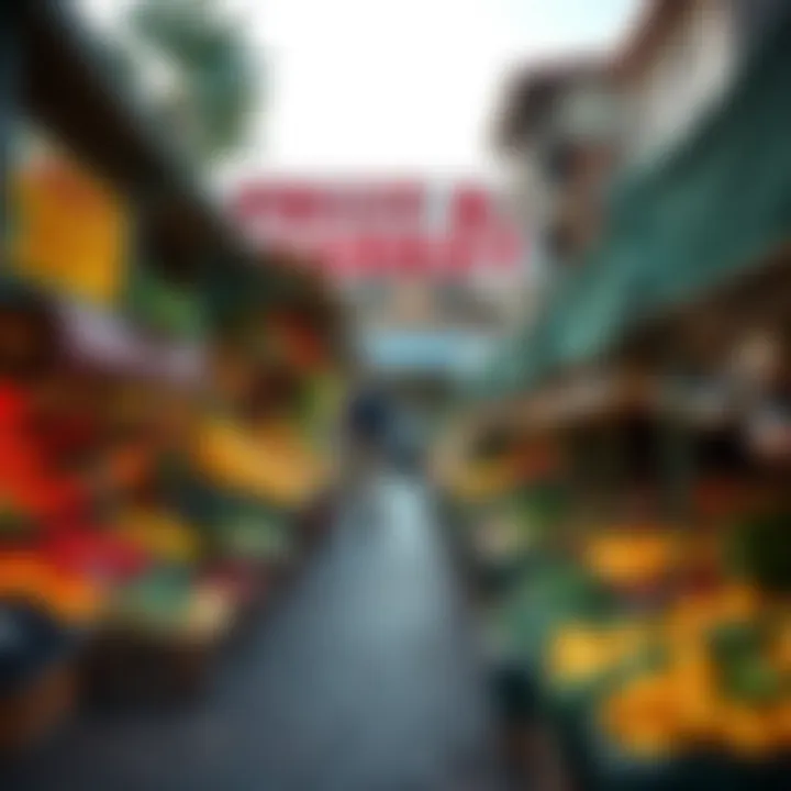Exterior view of a vibrant fruit and vegetable market in Somerset West during daylight hours
